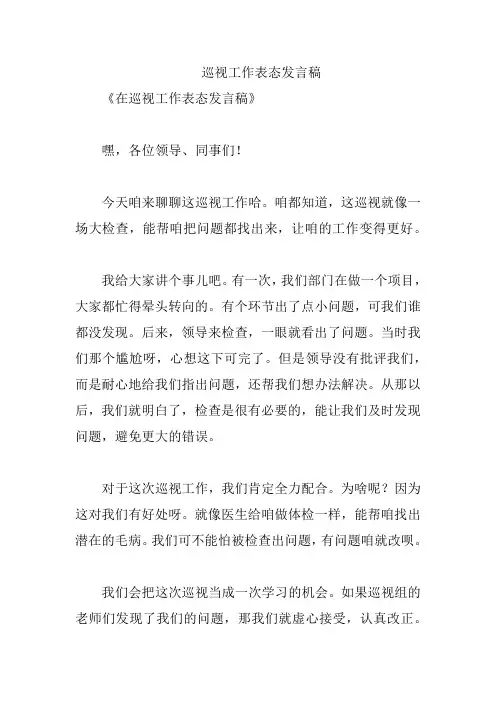 巡视工作表态发言稿