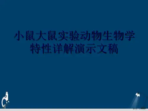 小鼠大鼠实验动物生物学特性详解演示文稿