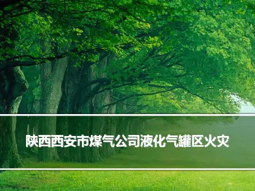 陕西西安市煤气公司液化气罐区火灾