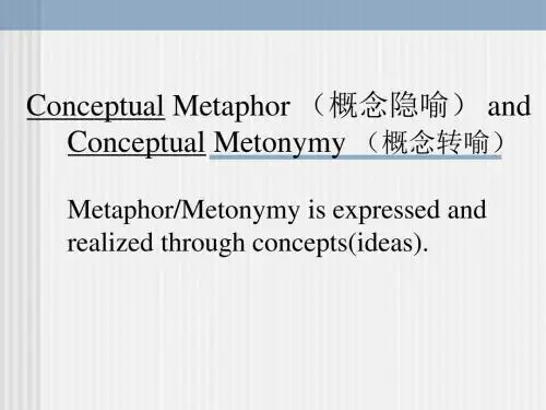 隐转喻和科研方法(华软学院)(周四)