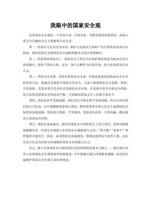 我眼中的国家安全观一千字