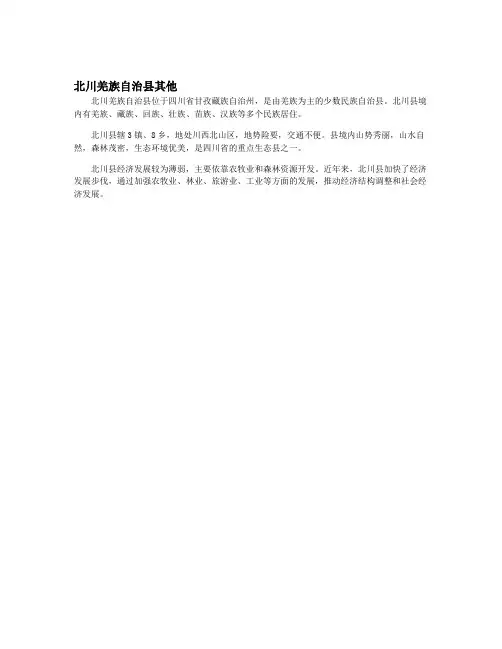 北川羌族自治县其他