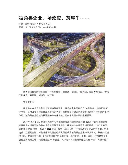 独角兽企业、场效应、灰犀牛……