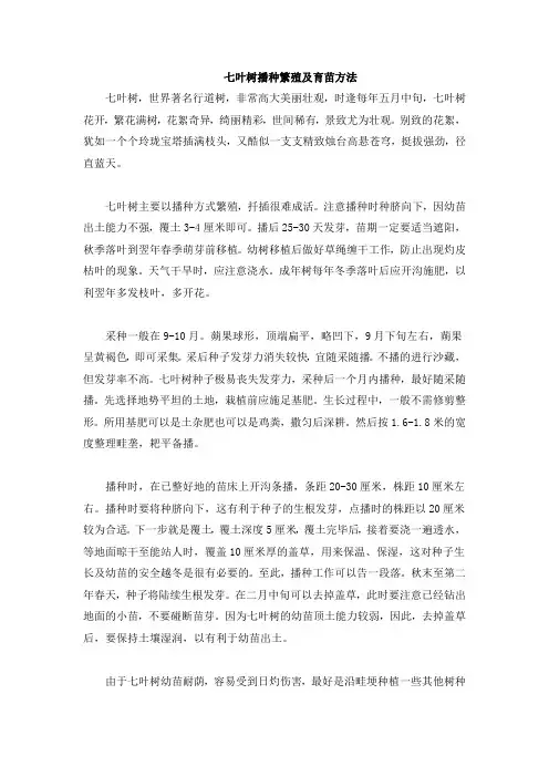七叶树播种繁殖及育苗方法