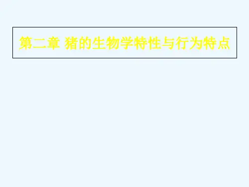 生猪养殖技术课件2