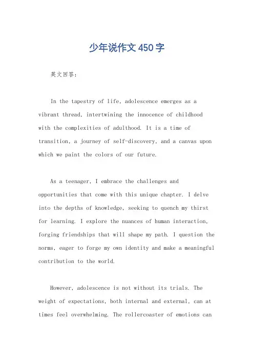 少年说作文450字