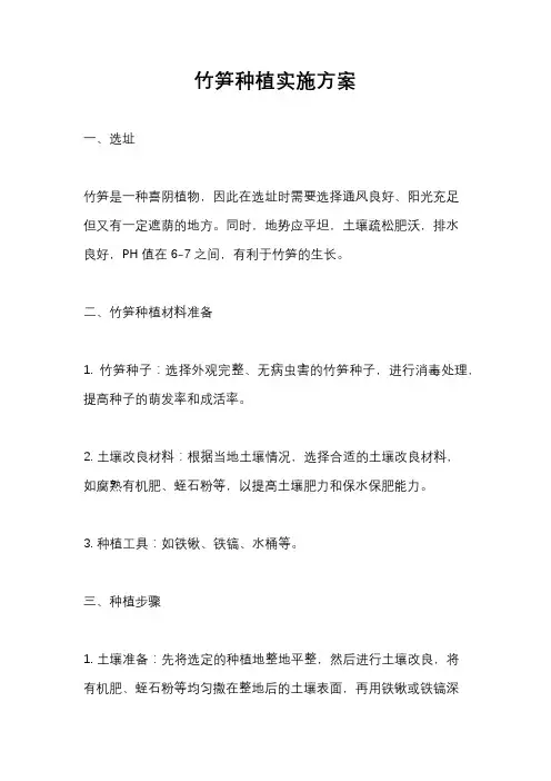 竹笋种植实施方案