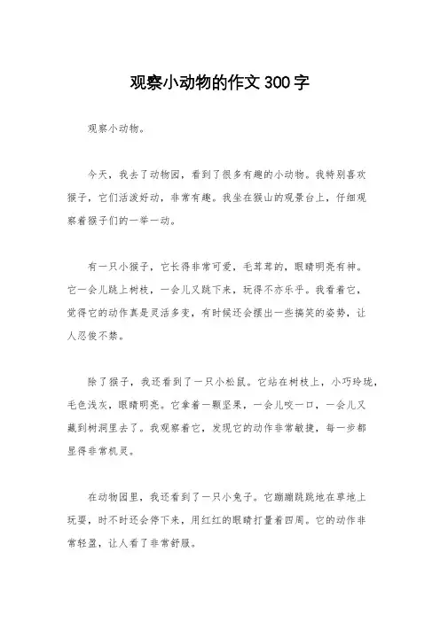 观察小动物的作文300字