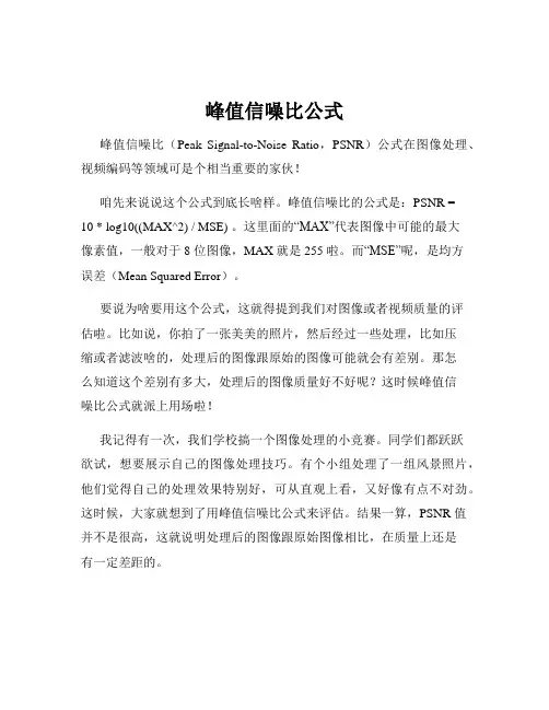峰值信噪比公式