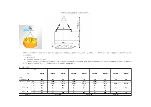RCDP自冷盘式电磁除铁器