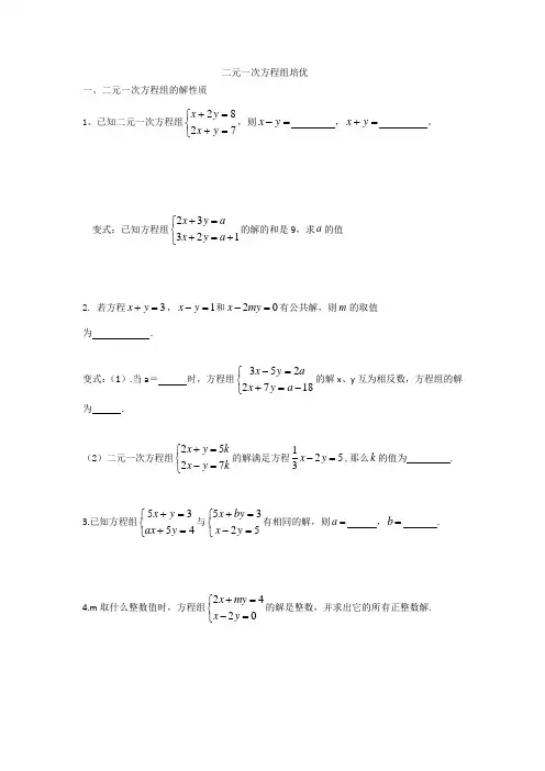 二元一次方程组培优