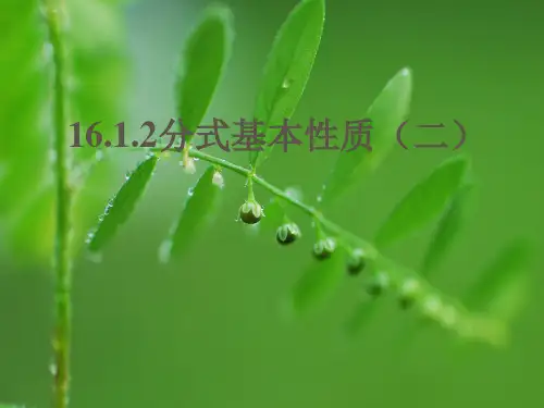 分式基本性质PPT教学课件