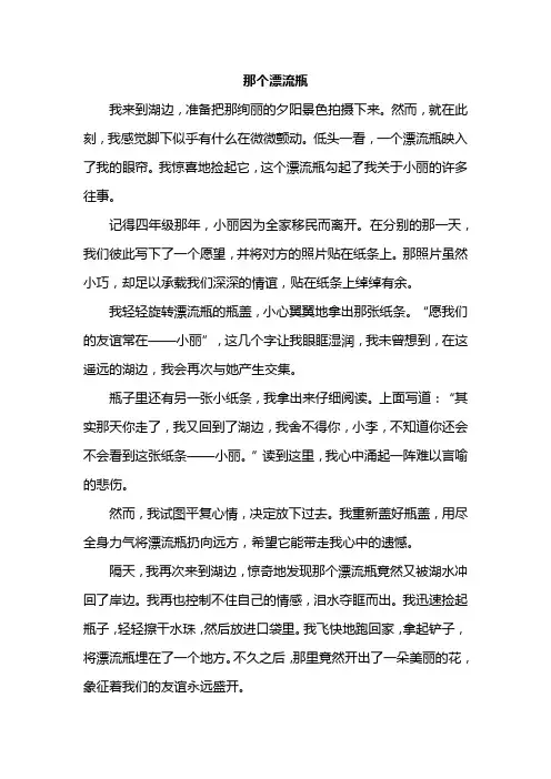 优秀作文《那个漂流瓶》
