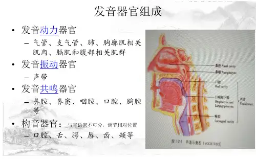 喉-嗓音 - 应用解剖学