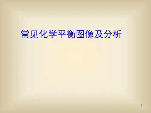 常见化学平衡图像及分析(课堂PPT)