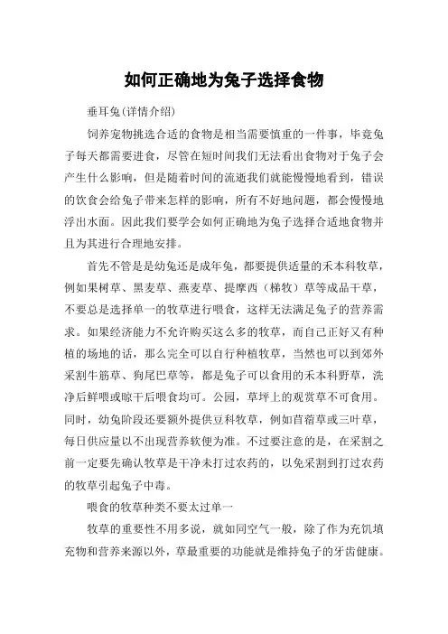 如何正确地为兔子选择食物