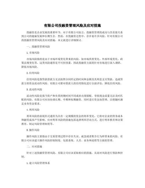 有限公司投融资管理风险及应对措施