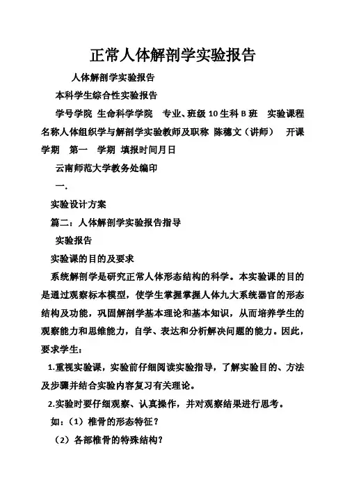 正常人体解剖学实验报告