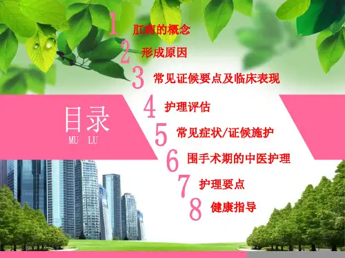 肛痈的中医护理常规PPT课件