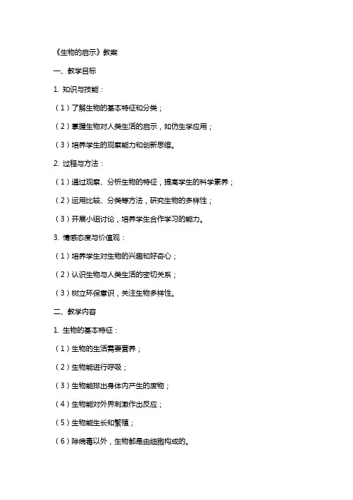 《生物的启示》教案