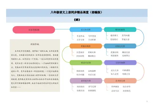 (部编版)八年级语文上册：《蝉》思维导图