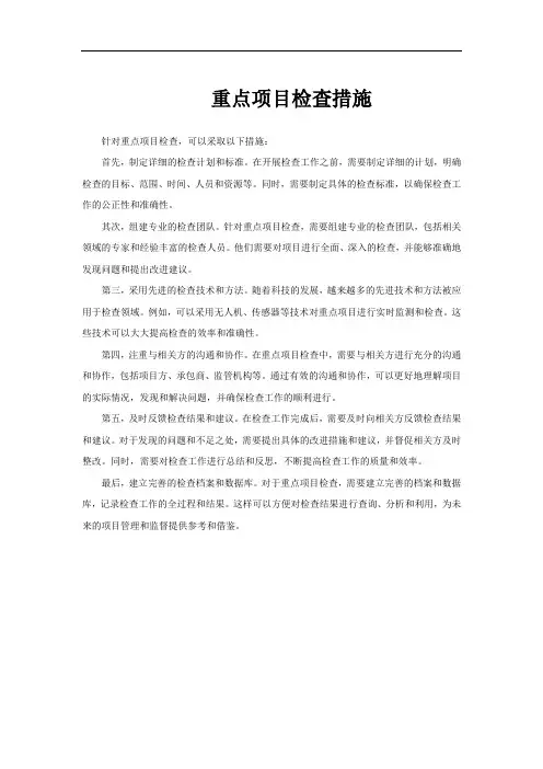 重点项目检查措施