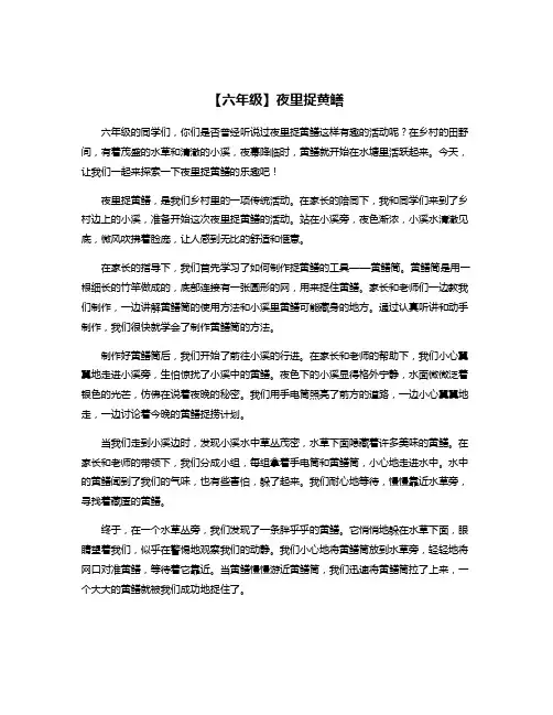 【六年级】夜里捉黄鳝