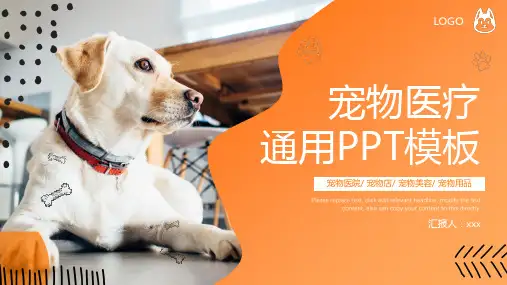 黄色可爱活泼宠物医院宠物店宠物医疗动态PPT模板