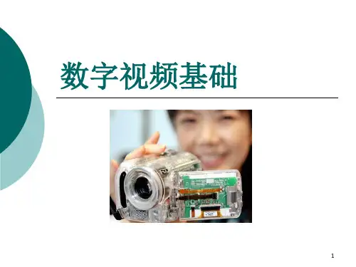 视频编码格式介绍