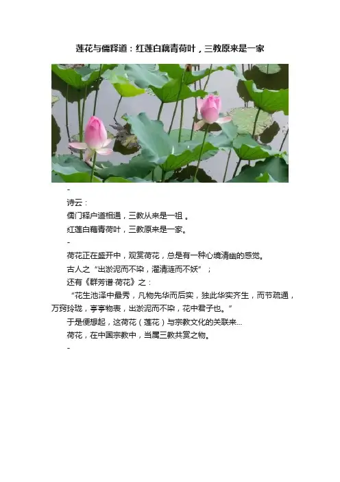 莲花与儒释道：红莲白藕青荷叶，三教原来是一家