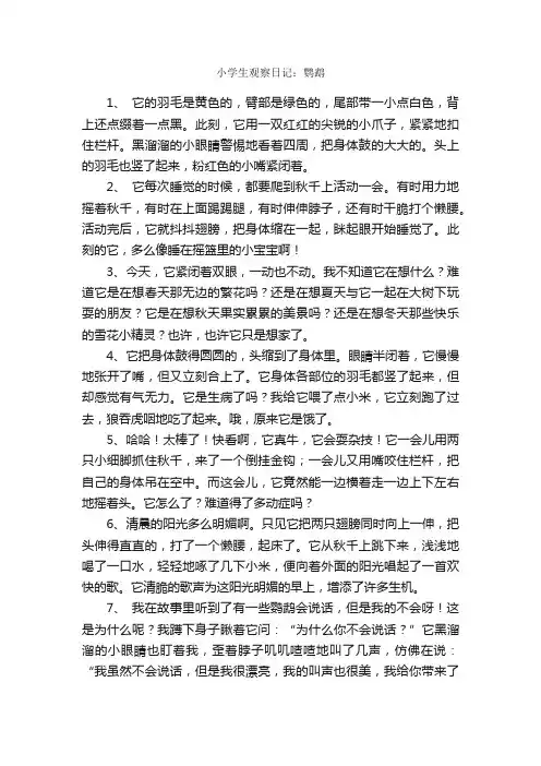 小学生观察日记：鹦鹉_观察日记