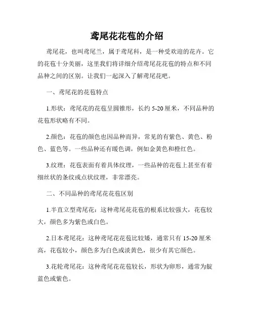 鸢尾花花苞的介绍
