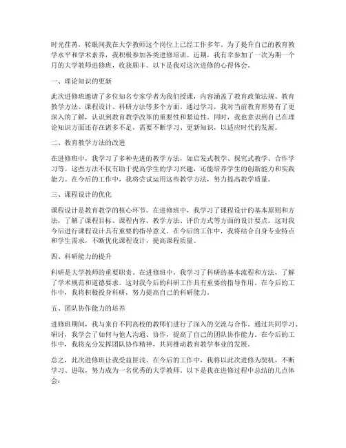 进修心得体会大学教师