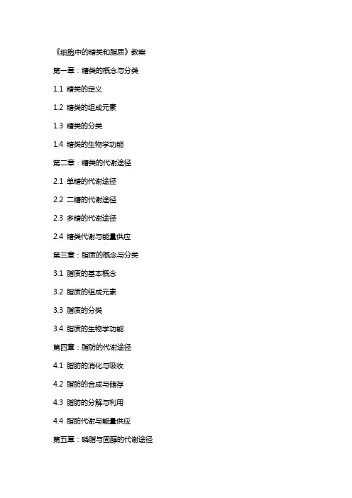 《细胞中的糖类和脂质》教案