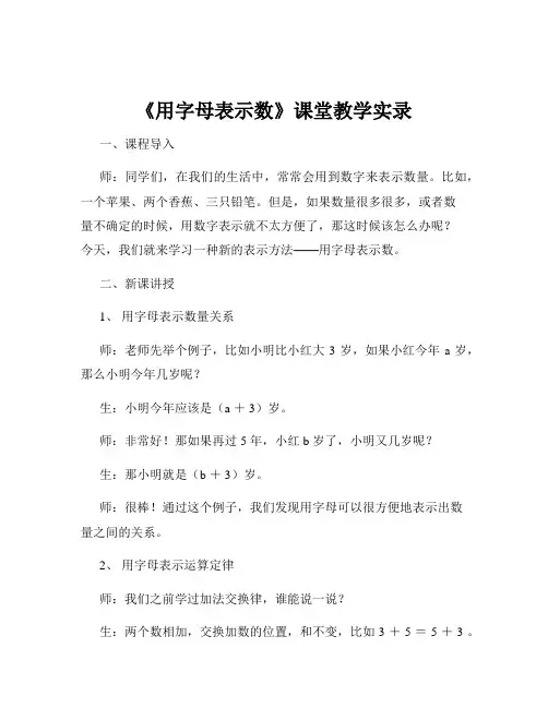 《用字母表示数》课堂教学实录