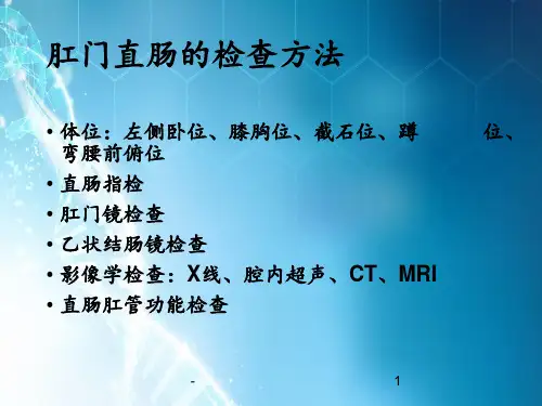 肛门直肠的检查方法ppt课件