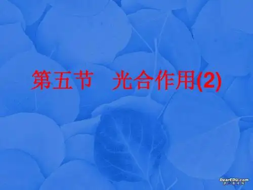 光合作用2