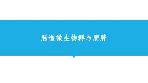 肠道微生物与肥胖