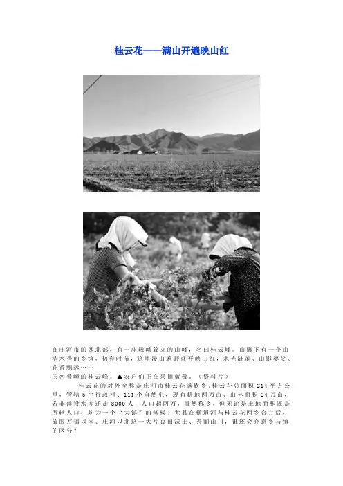 桂云花——满山开遍映山红Word 文档
