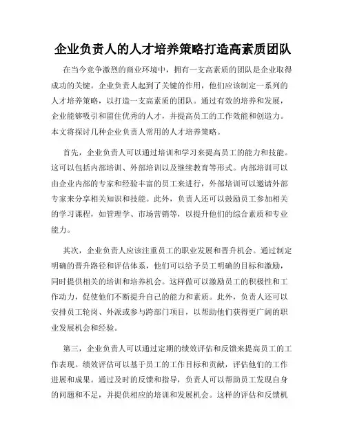 企业负责人的人才培养策略打造高素质团队