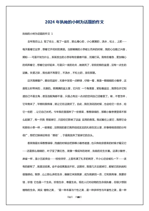 2024年执拗的小树为话题的作文