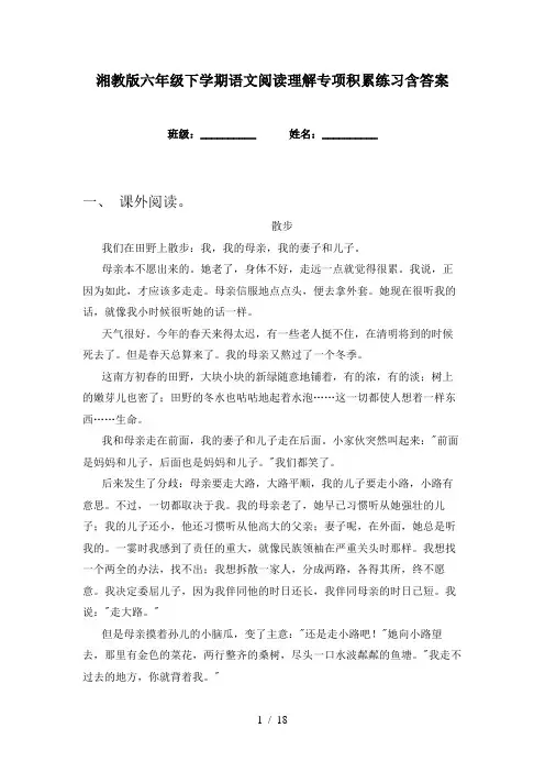 湘教版六年级下学期语文阅读理解专项积累练习含答案