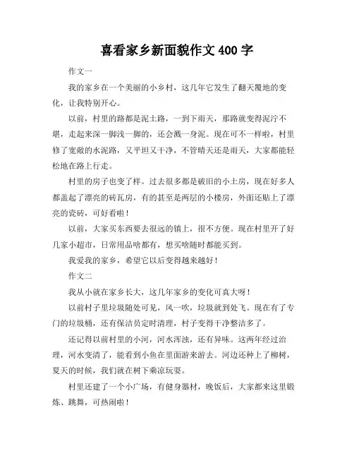 喜看家乡新面貌作文400字