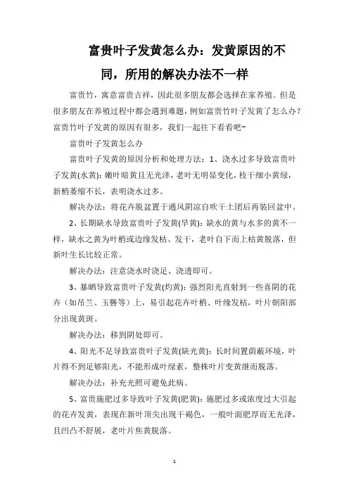 富贵叶子发黄怎么办：发黄原因的不同,所用的解决办法不一样