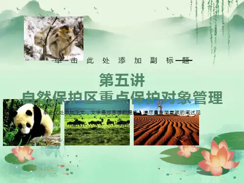 自然保护区管理第5讲自然保护区重点保护对象