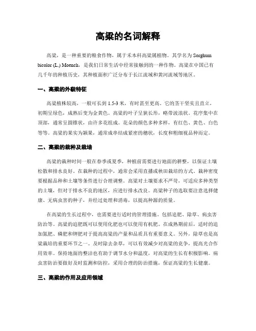 高粱的名词解释