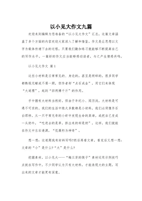 以小见大作文九篇