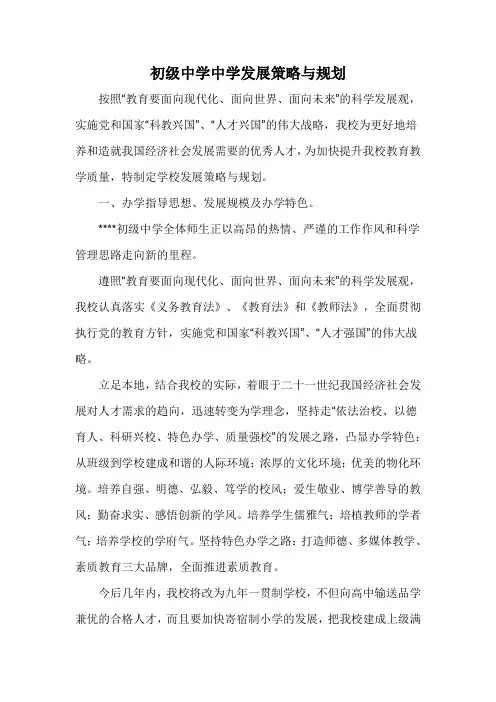 初级中学发展策略与规划