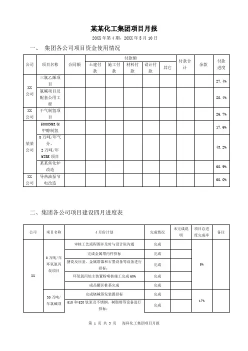 化工在建项目月报