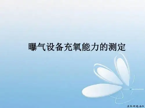 曝气设备充氧能力的测定